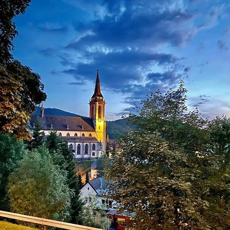 Ferienhaus Haus Herzog Titisee-Neustadt Kültér fotó