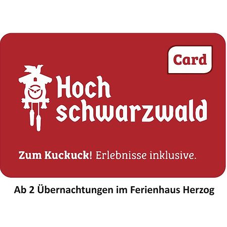 Ferienhaus Haus Herzog Titisee-Neustadt Kültér fotó