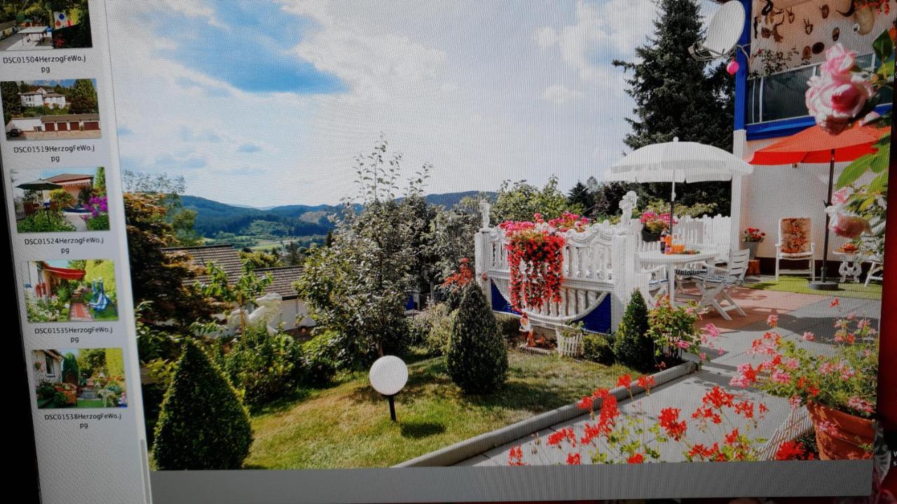 Ferienhaus Haus Herzog Titisee-Neustadt Kültér fotó