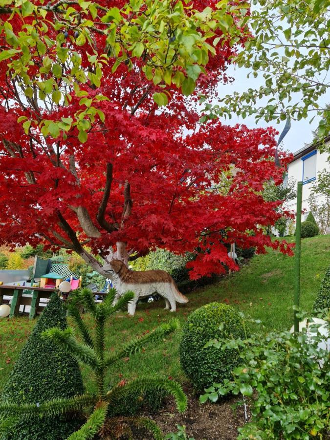 Ferienhaus Haus Herzog Titisee-Neustadt Kültér fotó