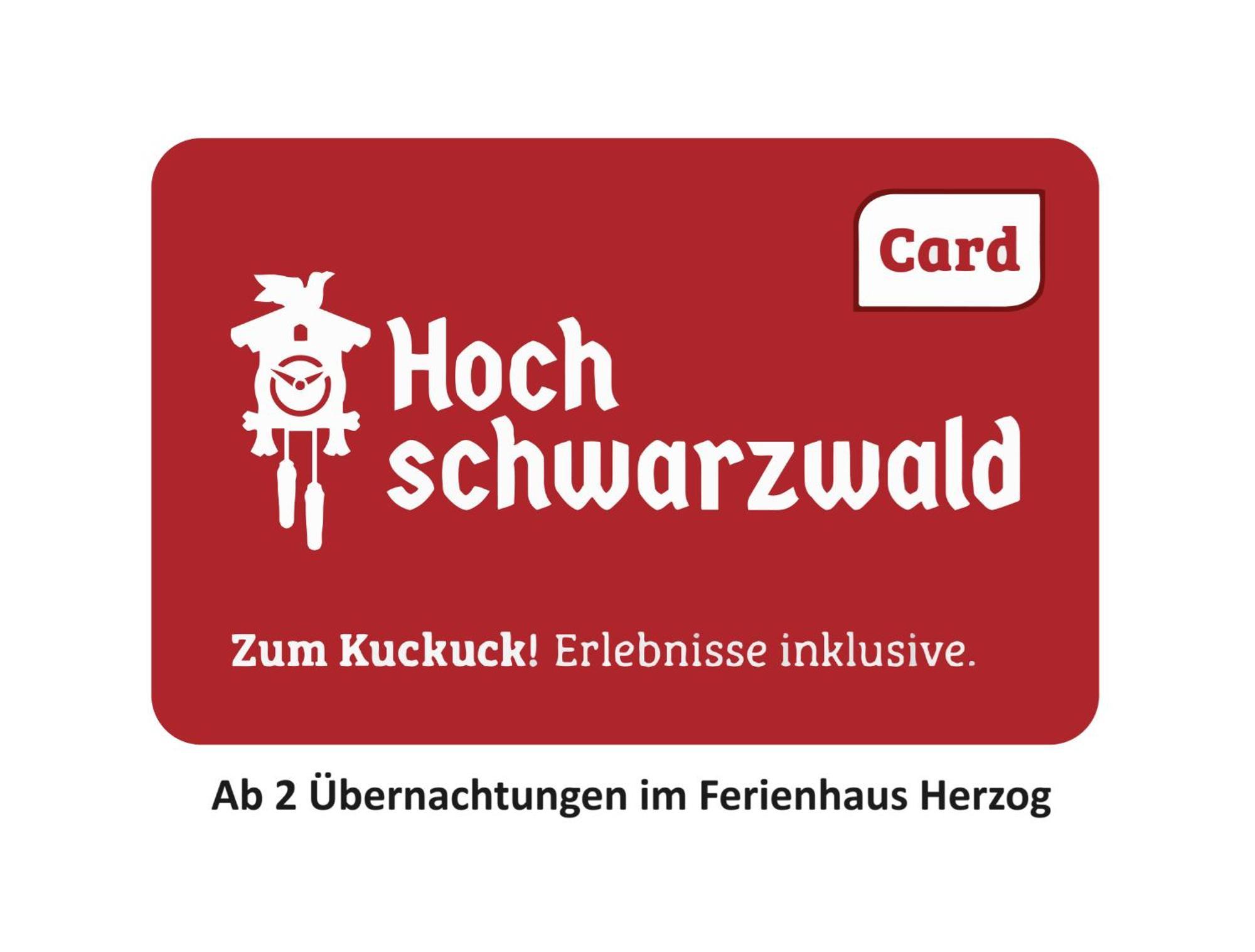 Ferienhaus Haus Herzog Titisee-Neustadt Kültér fotó