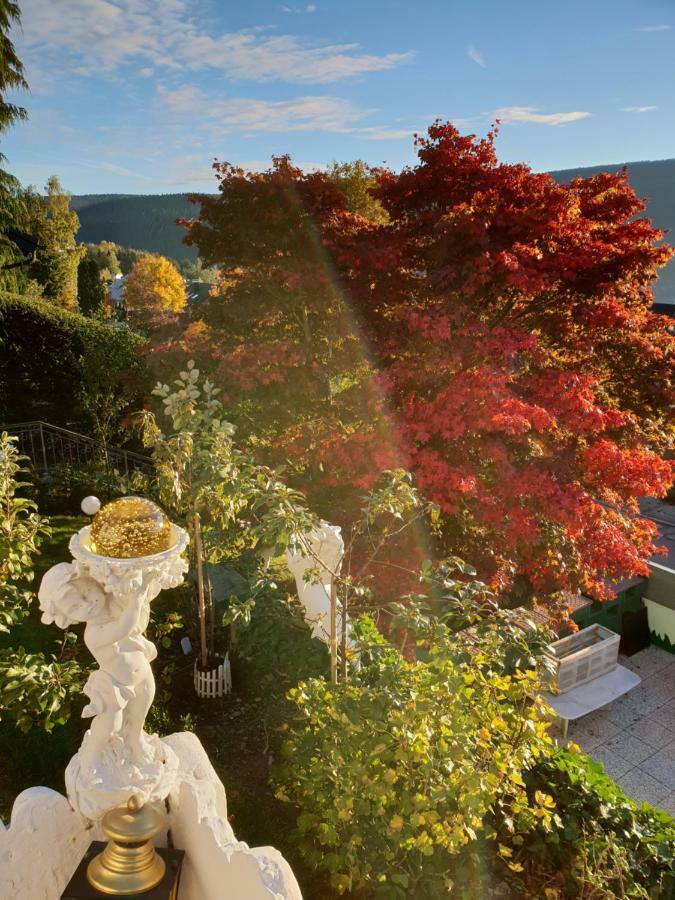 Ferienhaus Haus Herzog Titisee-Neustadt Kültér fotó